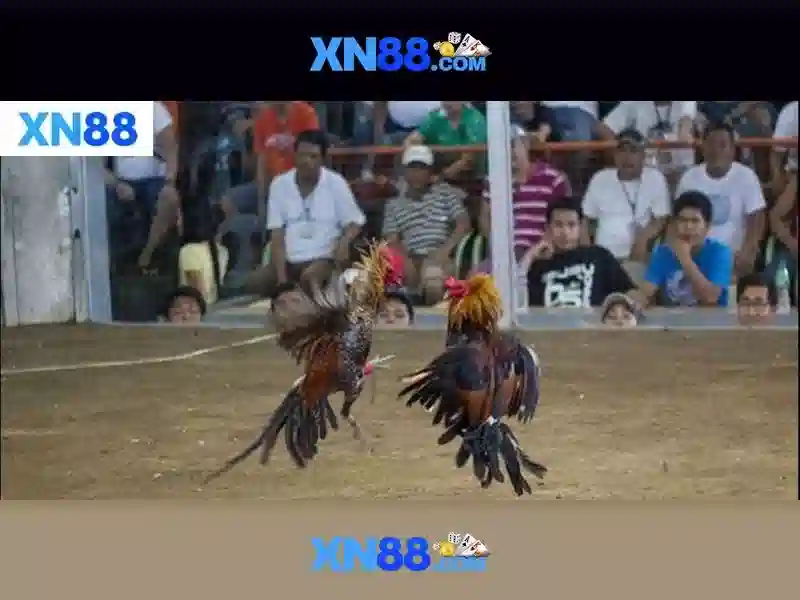 tải game xn88 - trải nghiệm đỉnh cao và an toàn cho người chơi Việt