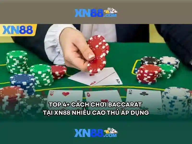 Trải nghiệm người dùng và phản hồi từ cộng đồng