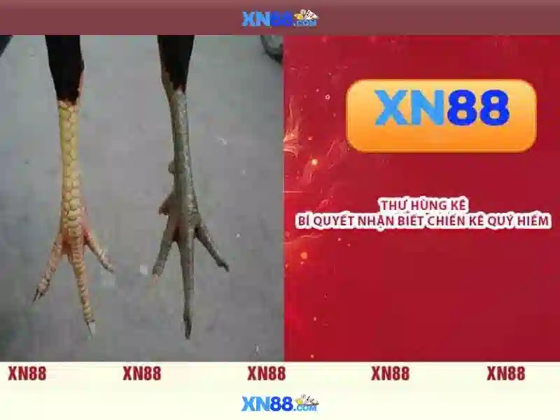 Nguồn gốc của game xn88 và sứ mệnh