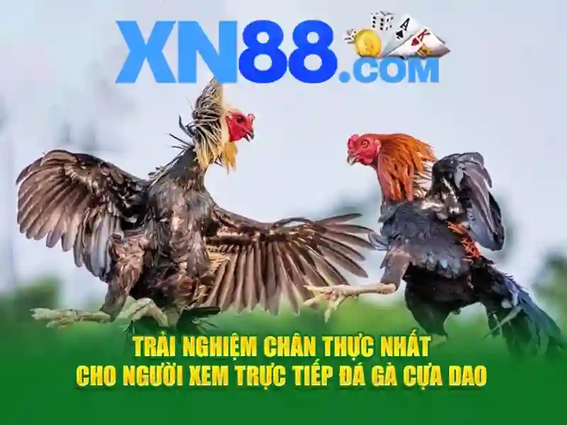 Ưu thế và cạnh tranh